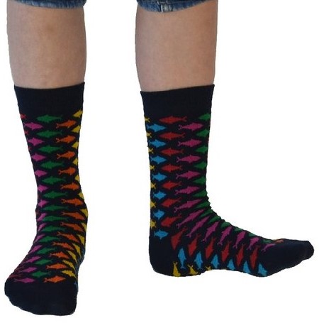 Organic socks on sale