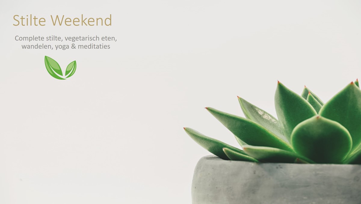 DETOX - Een weekend leven in stilte