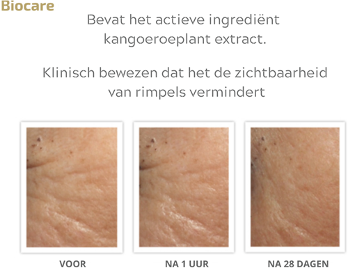 INIKA Organic Pure Perfection Primer-3