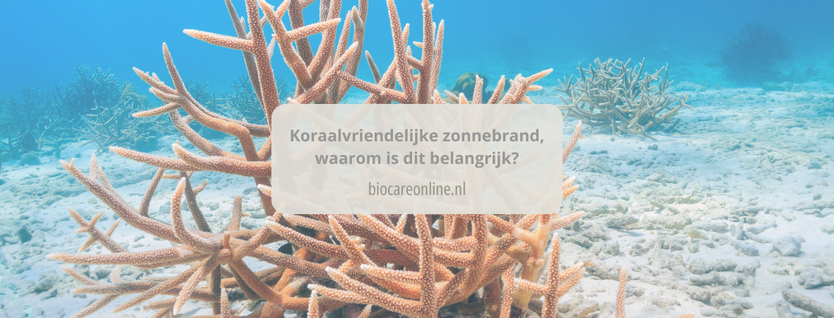 Koraalvriendelijke zonnebrand, waarom is dit belangrijk?