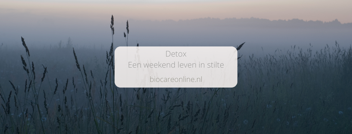 DETOX - Een weekend leven in stilte