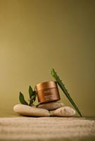 INIKA Organic Detoxifying Clay Mask-2