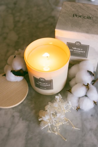 Poécile Candle Silence au sommet - Les Alpes 190g-3